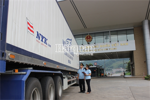 43 xe thanh long được xuất khẩu qua cửa khẩu quốc tế Lào Cai