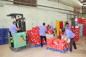 Hoang Hau Dragon Fruit: Enhancing Vietnamese dragon fruit brand