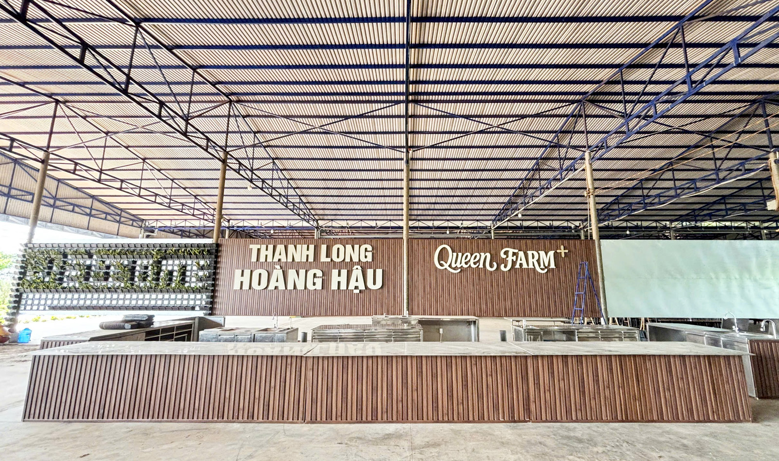Thanh long Bình Thuận